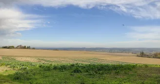 Point de vue sur les champs