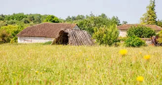 La cabane du feuillardier