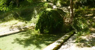 Vindelle fontaine de Tonne