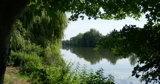 Bord de Charente Bord de Charente