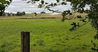 Circuit - Vars Circuit - Vars