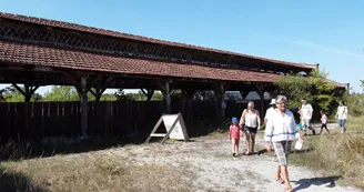 Exploitation four à chaux Exploitation four à chaux