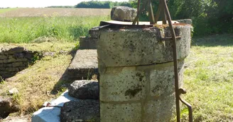 Fontaine basse sangle
