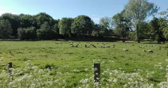 1cc3f55dff4f906fe52083782a46ca4233bd2d00.jpeg 1cc3f55dff4f906fe52083782a46ca4233bd2d00.jpeg