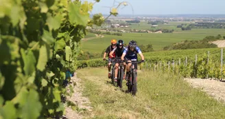 1d54b56780fc4f8df600c06aecdb37a06a9dd080.jpeg 1d54b56780fc4f8df600c06aecdb37a06a9dd080.jpeg