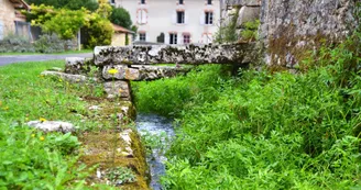 bourg de Cellefrouin