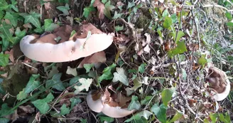 21295958.jpg 21295958.jpg