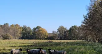 Sentier des gouffres - Les Gours_Les Gours