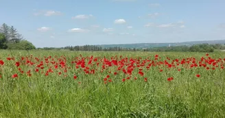 64c09db58b687e3192b69540612843ccdfc47514.jpeg 64c09db58b687e3192b69540612843ccdfc47514.jpeg