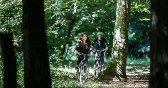 81d2ed3adc76324c1aa56f7d1aabc1f780de8506.jpeg 81d2ed3adc76324c1aa56f7d1aabc1f780de8506.jpeg