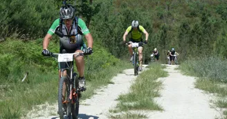 877d4c3ea4ed96df28b967b2b6e140aef925bf79.jpeg 877d4c3ea4ed96df28b967b2b6e140aef925bf79.jpeg