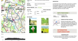 saint-laurent-des-combes-01_chemin_des_trois_cantons-page--fiche-sentier.jpg