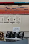 Espace Préhistoire André Debénath