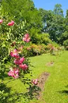 Jardin du Logis de Chênard