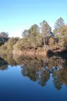 Etang de pêche de Piquedur