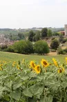 Village des Coteaux du Blanzacais