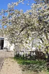 Villa Margo