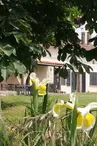 Tilleuls & Safran