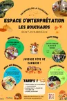 Visite guidée du site archéologique et du Musée de Bouchauds