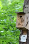 Beauchaud Patrick - fabricant de nichoirs