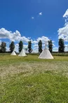 Tipis la Mésange, le moineau ou la Bergeronnette