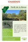 Forêt de la Boixe