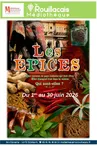 Exposition "Les Epices"
