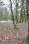 Aire de pique-nique de Bois Blanc